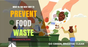 Sustainable Kitchen Habits: Effective Strategies to Minimize Food Waste