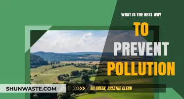 Preventing Pollution: Simple Steps for a Better Tomorrow