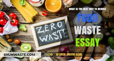 Sustainable Solutions: How to Minimize Food Waste Effectively
