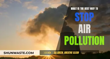 Air Pollution: Solutions for a Cleaner Tomorrow