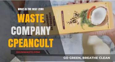 Top Zero Waste Company: CleanCult's Eco-Friendly Solutions Reviewed