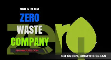 Top Zero Waste Companies Leading the Eco-Friendly Revolution