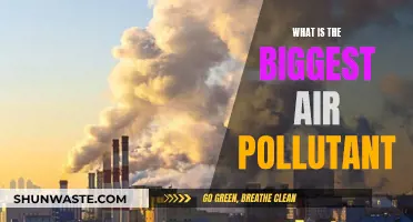 Air Pollution: The Deadliest Contaminant Revealed