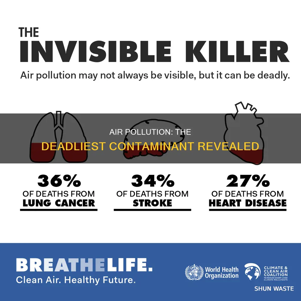 what is the biggest air pollutant