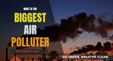 Air Polluters: The Worst Offenders Revealed