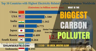 Who is the Biggest Carbon Polluter?