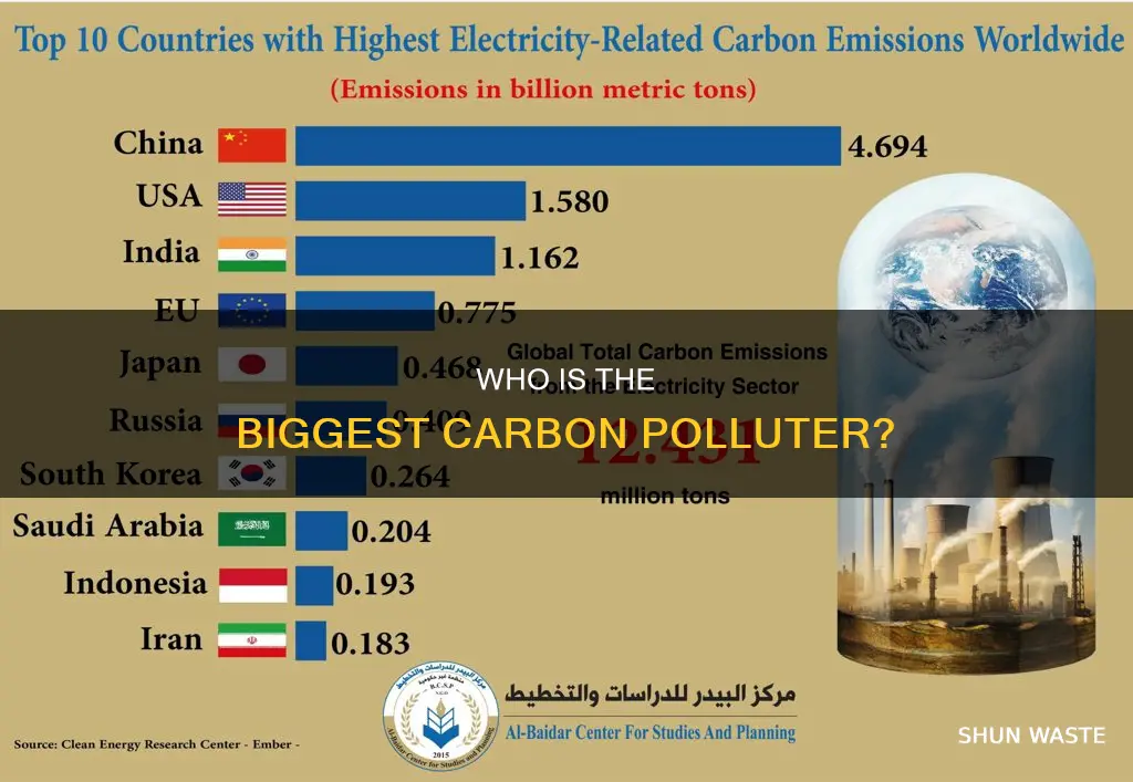 what is the biggest carbon polluter