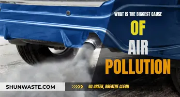 Air Pollution's Main Culprit: Unveiling the Top Offender