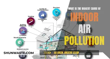 The Air We Breathe: Indoor Pollution Sources