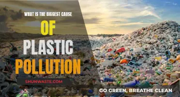 Unveiling the Primary Culprit: Understanding the Root of Plastic Pollution