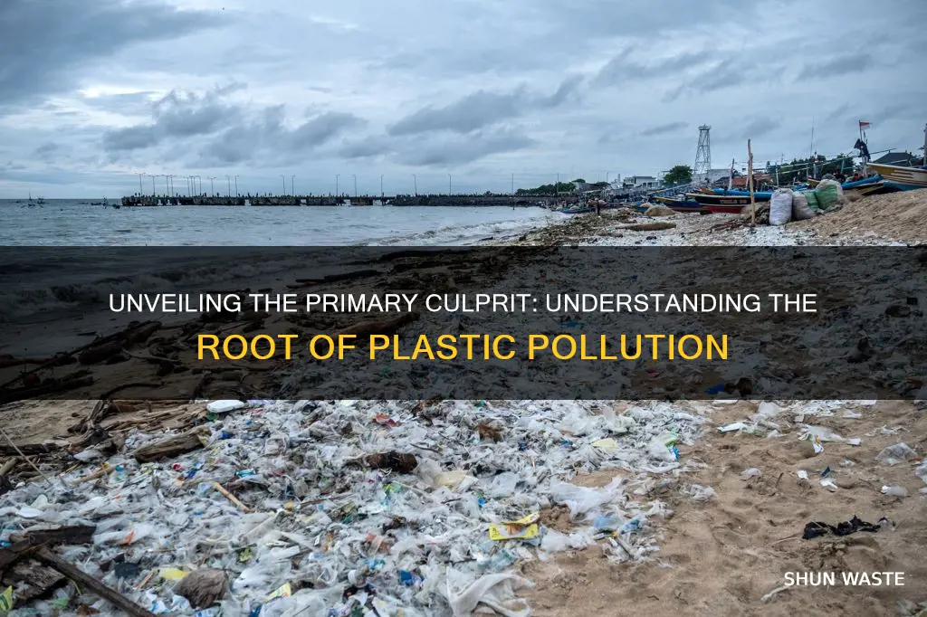 what is the biggest cause of plastic pollution