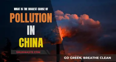 Unveiling China's Pollution Crisis: A Deep Dive into the Main Culprits