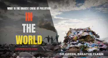 Unveiling the Global Polluter: Understanding the Leading Cause of Environmental Degradation