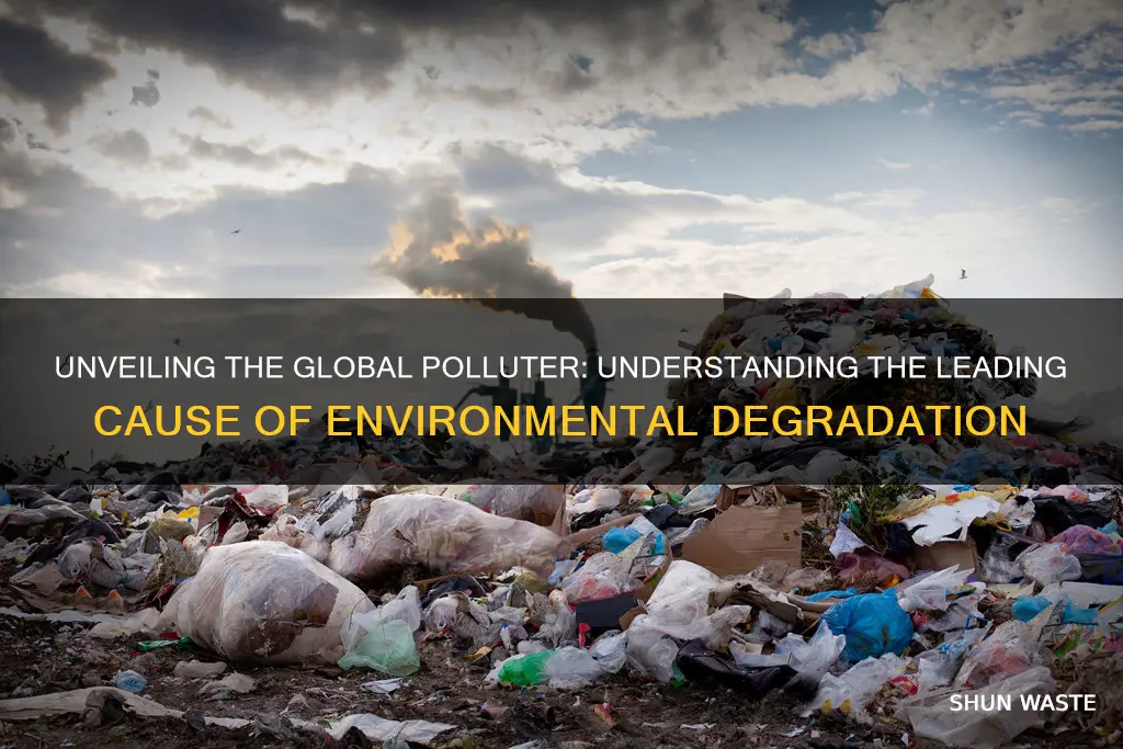 what is the biggest cause of pollution in the world