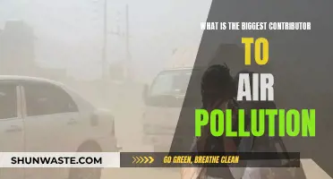 Human Activity: The Major Cause of Air Pollution