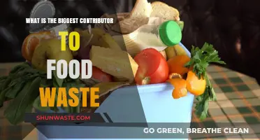 Uncovering the Root Cause of Food Waste: A Comprehensive Analysis