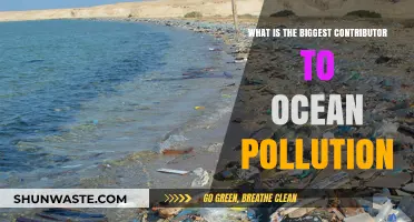 Human Impact: Ocean Pollution's Main Culprit