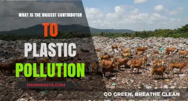 Human Impact: The Leading Cause of Plastic Pollution