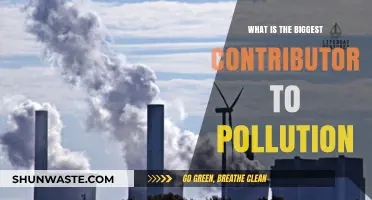 Human Activity: The Main Cause of Pollution