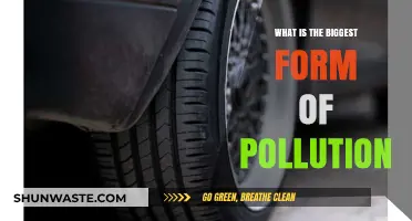 The Deadliest Pollution: Air, Water, or Land?