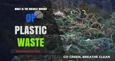 The Great Pacific Garbage Patch: Earth's Largest Plastic Waste Mound