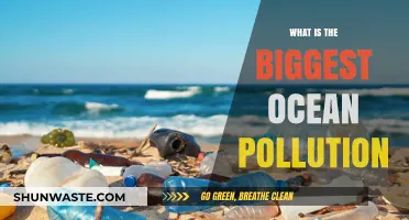 The Ocean's Biggest Threat: Pollution's Impact