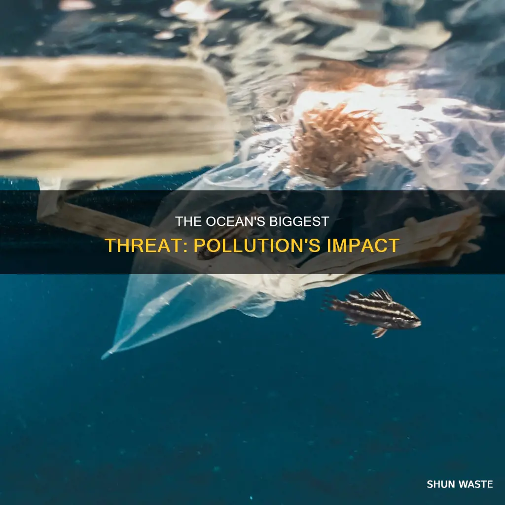 what is the biggest ocean pollution
