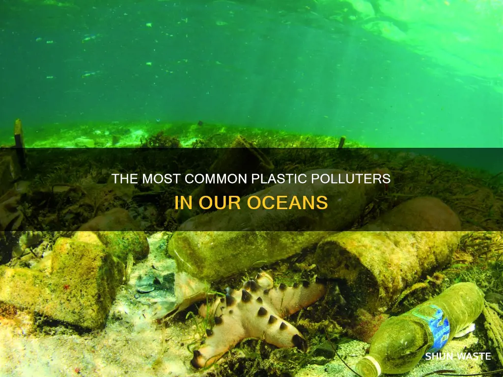 what is the biggest plastic item in pollution