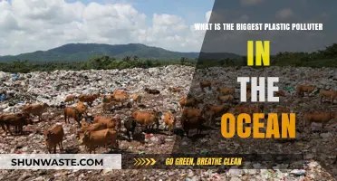 Who Pollutes Our Oceans the Most?
