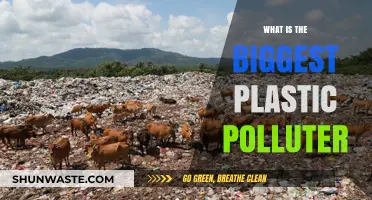 Who is the Worst Plastic Polluter?