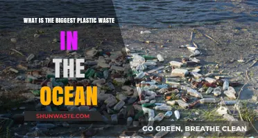Ocean's Plastic Crisis: Unveiling the Largest Marine Waste Culprit