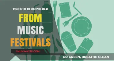 Music Festival Pollutants: The Environmental Impact of Festivals