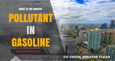 Gasoline's Pollution: The Worst Offender Revealed