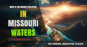 Missouri's Water Pollution: The Primary Culprit Revealed