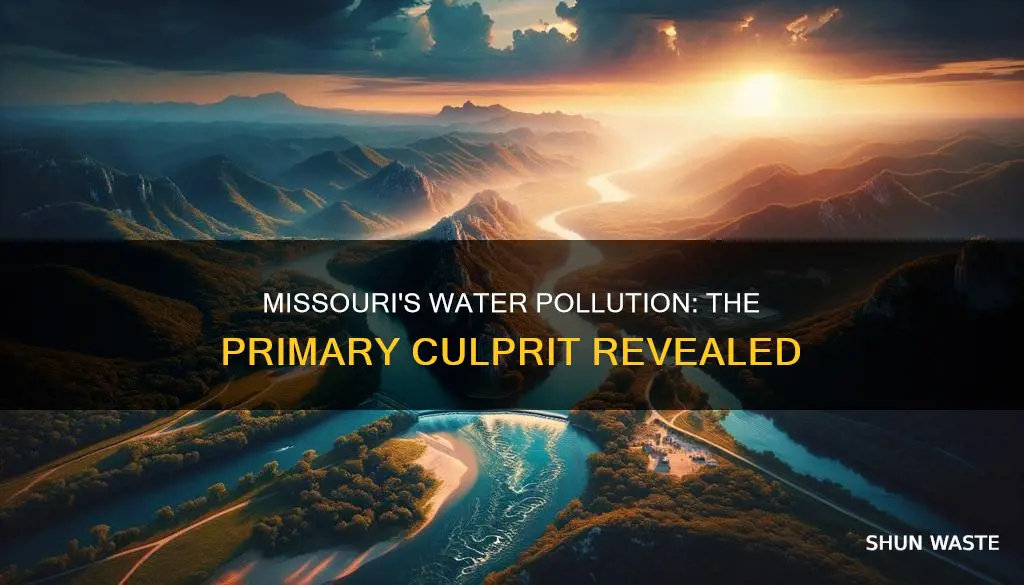 what is the biggest pollutant in missouri waters