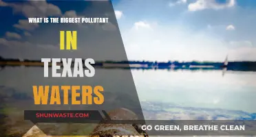 Texas Water Pollution: The Main Culprit Revealed