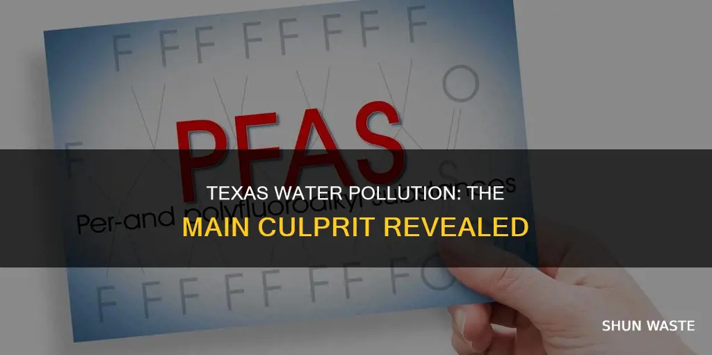 what is the biggest pollutant in texas waters
