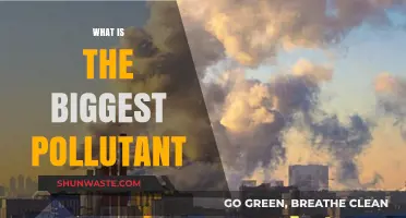 The Biggest Pollutant: What's Harming Our Planet the Most?