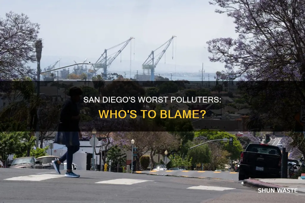 what is the biggest polluter in san diego