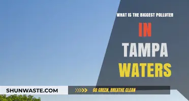 Tampa's Water Pollution: Who's the Main Culprit?