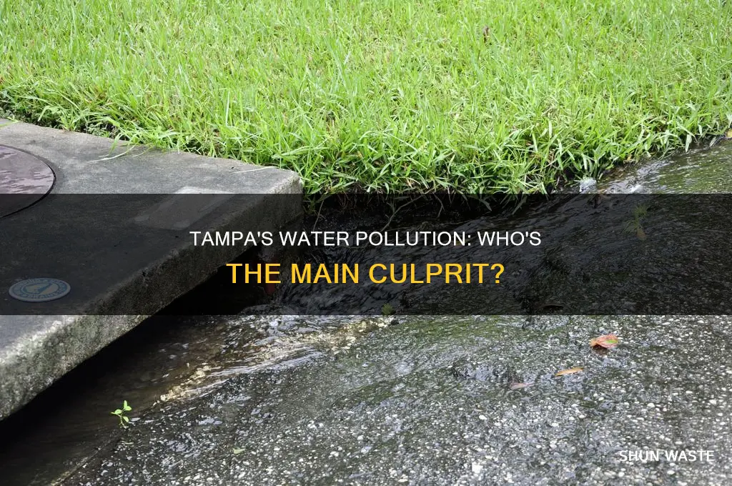 what is the biggest polluter in tampa waters