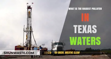 Texas Waterways: Who's the Main Culprit?