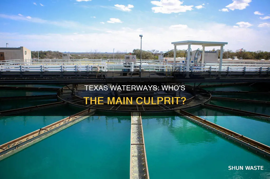 what is the biggest polluter in texas waters