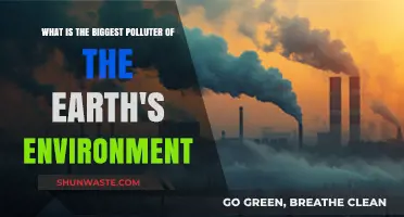 Human Activities: Earth's Biggest Polluters