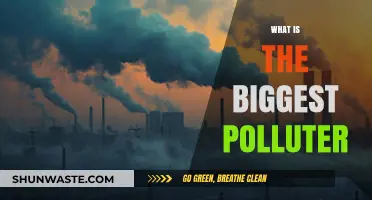 Who's the Worst Polluter?