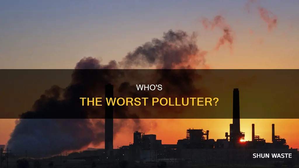 what is the biggest polluter