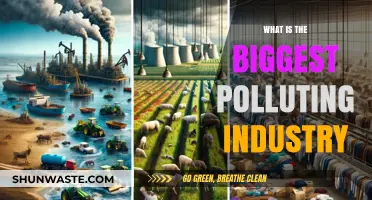 The Worst Polluters: Which Industries Top the List?