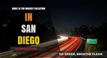 San Diego's Pollution Problem: What's the Main Culprit?