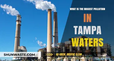 Tampa's Water Pollution: The Main Culprit Revealed