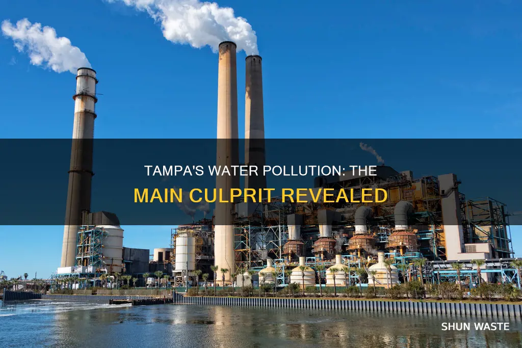 what is the biggest pollution in tampa waters